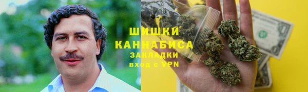 прущие грибы Кукмор