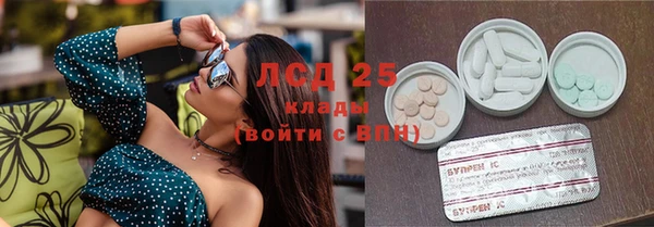 мяу мяу мука Костерёво